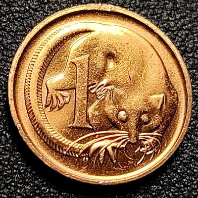 泉币菌-第105场-精品福利场 - 英属澳大利亚1分 青铜币鼯鼠 直径17.5mm 大洋洲币