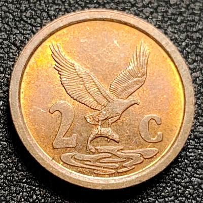 泉币菌-第106场-散币乐园场 - 南非2分小硬币 18mm 鱼鹰 