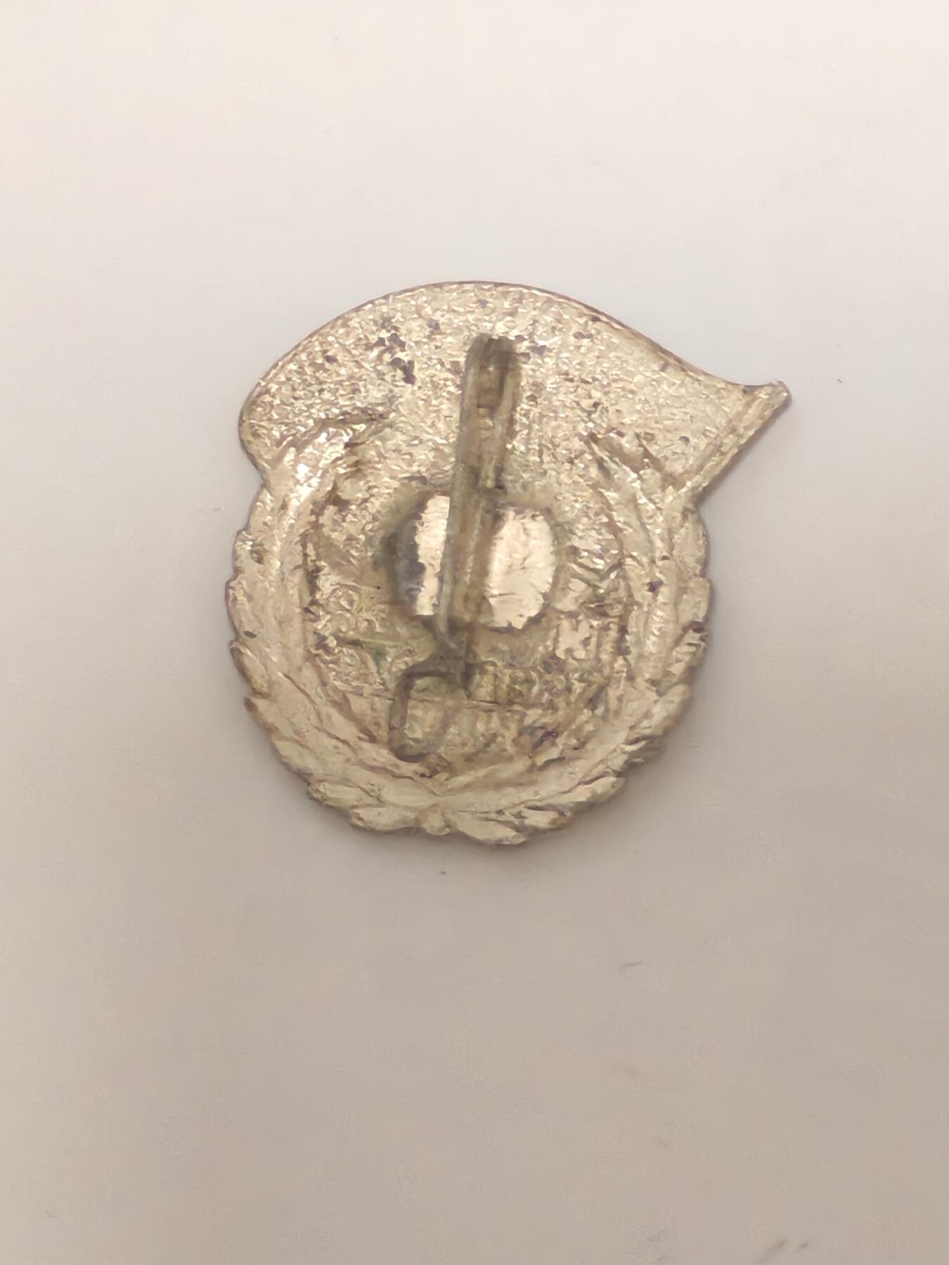 荷兰第125期勋赏拍卖 民主德国施瓦茨普姆佩的建设者证章
