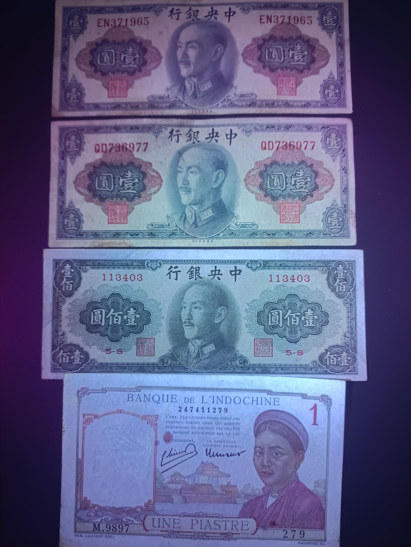 2025八月第五期（总第190期）