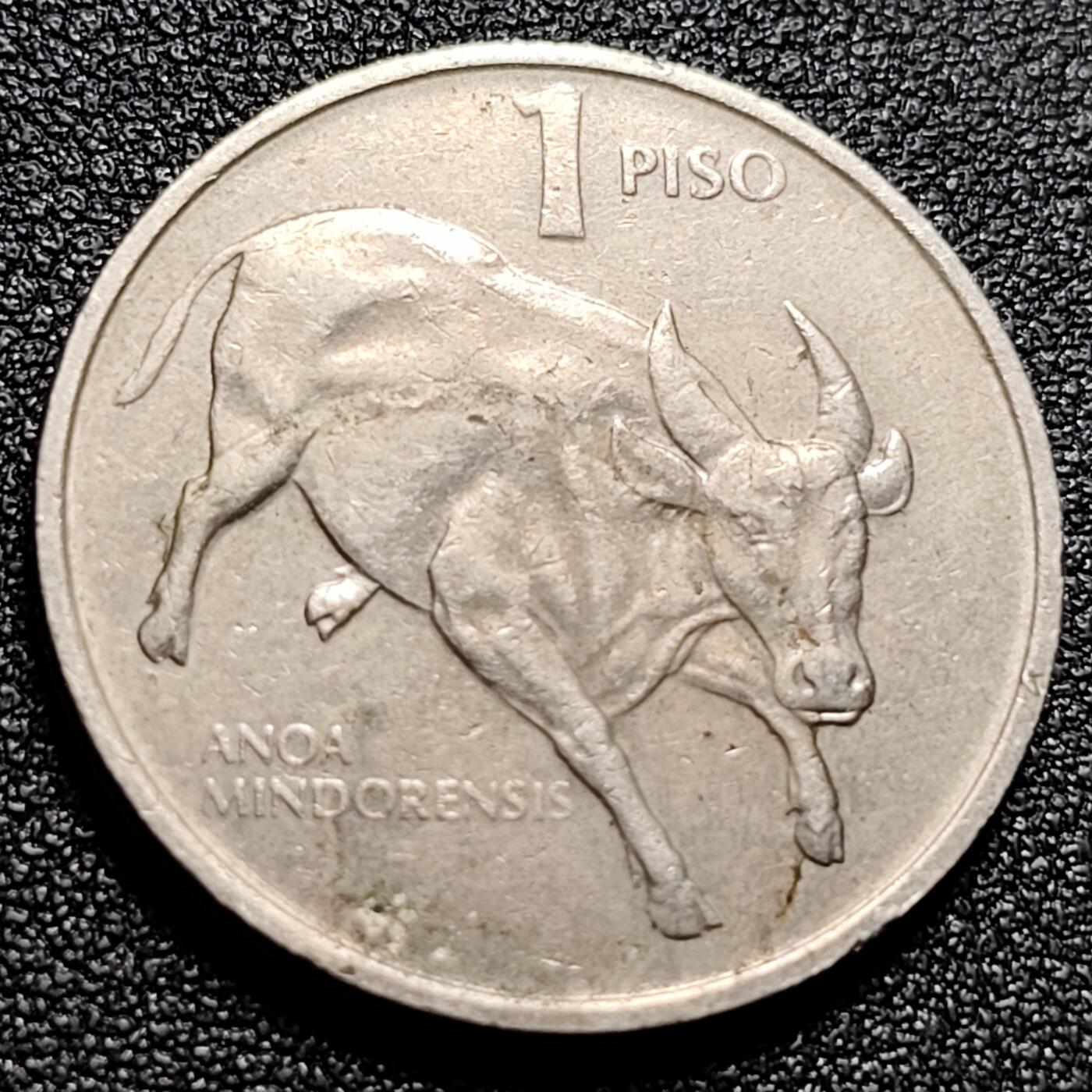 泉币菌-第103场-精品福利场（🐂🐎生活开始了，上拍和发货推迟几天，大家谅解）