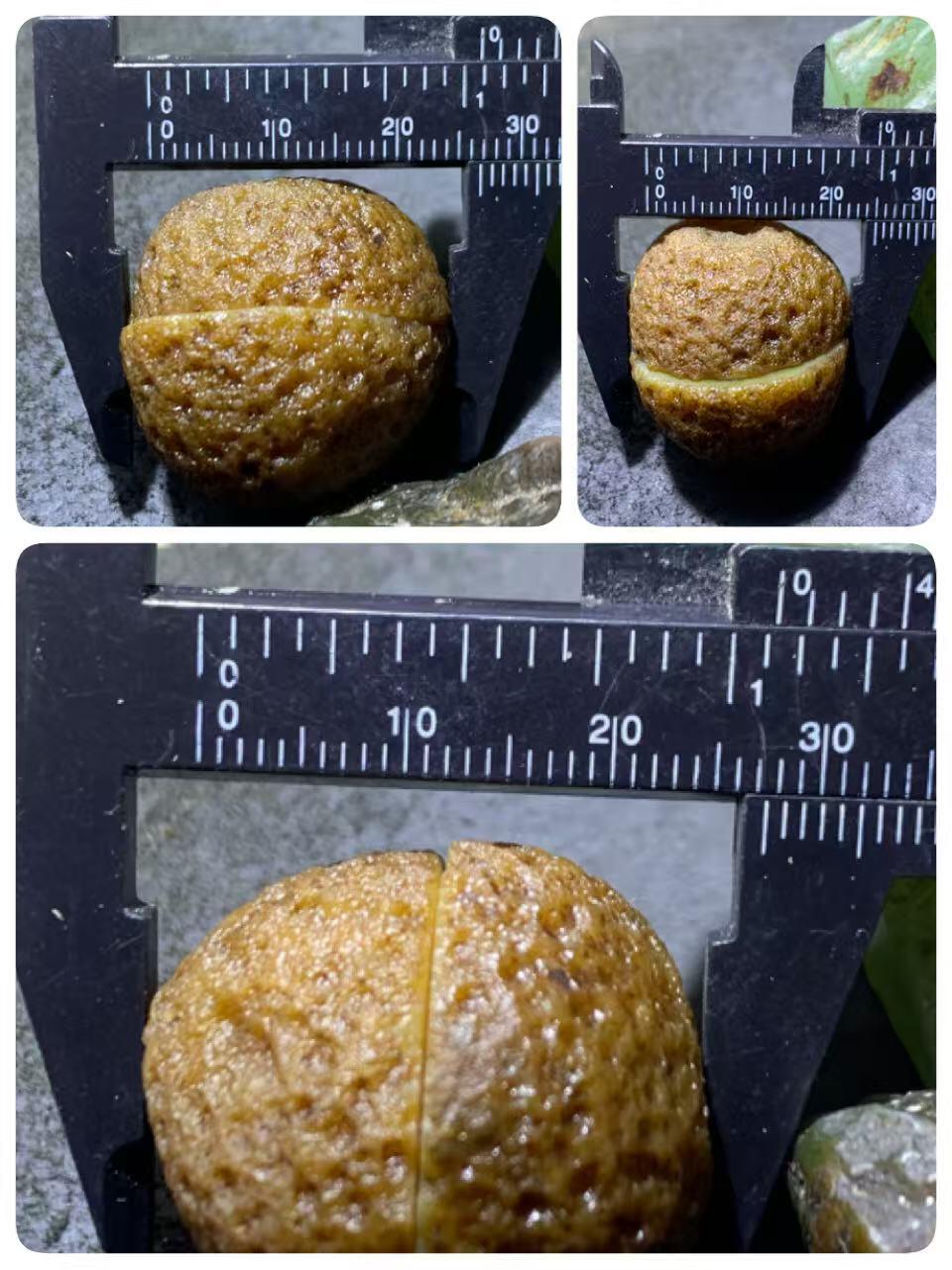 精美亚光原皮高玉化鸡油黄天眼纹战国红玛瑙对切原石摆件一对，