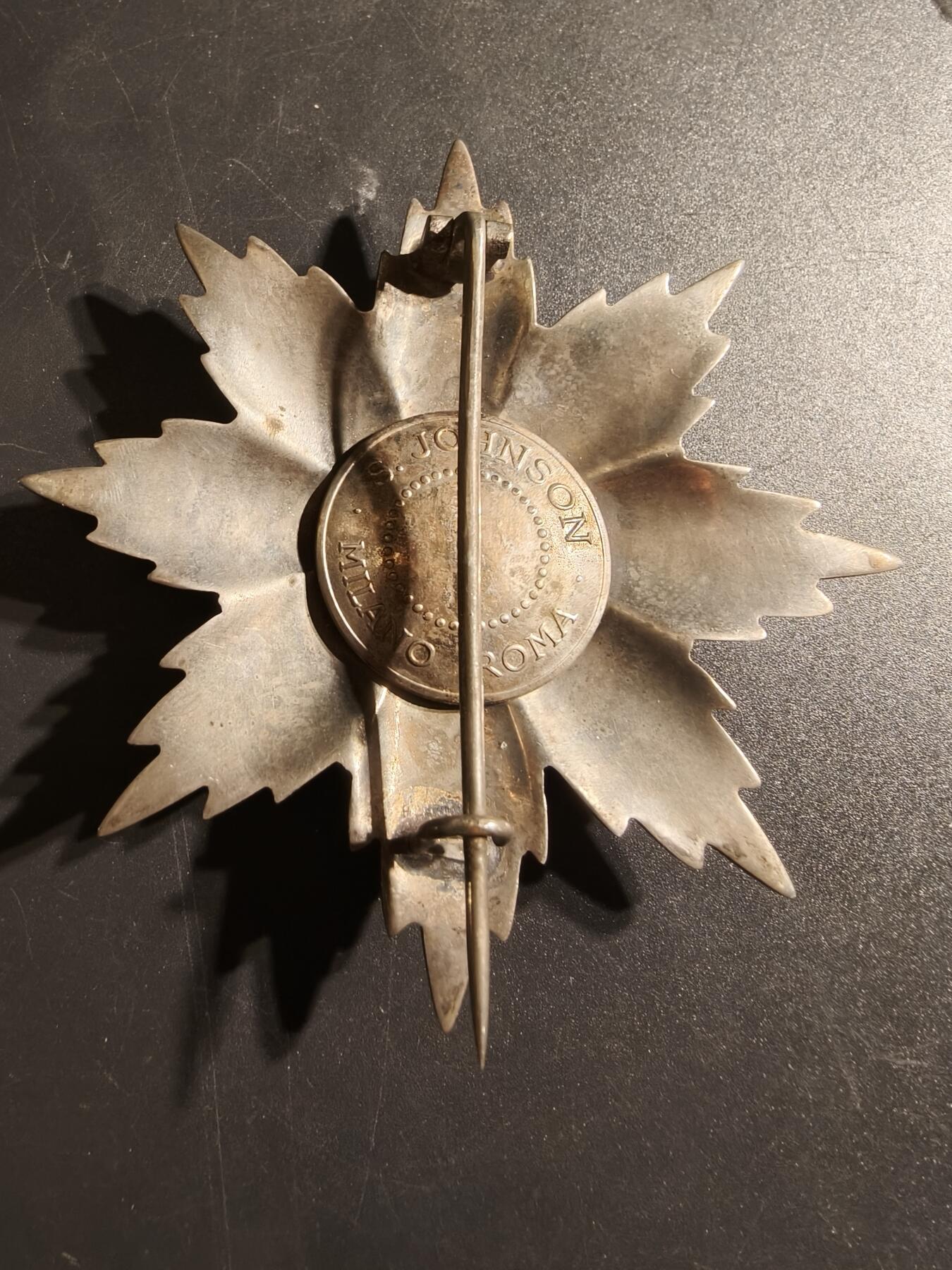 老王徽章第145期