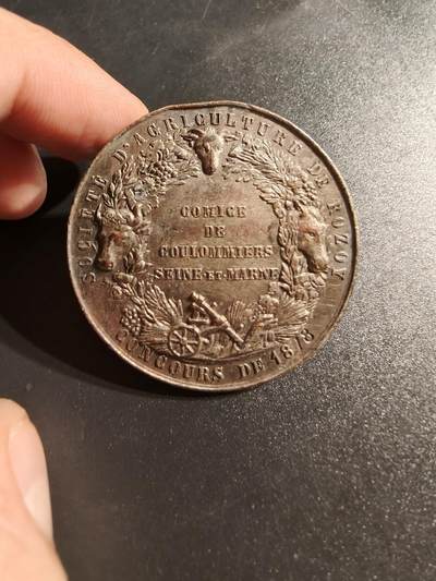 老王徽章第145期 - 法国镀金单面大银章    早期蜜蜂950银标   直径40mm   重量22.8g