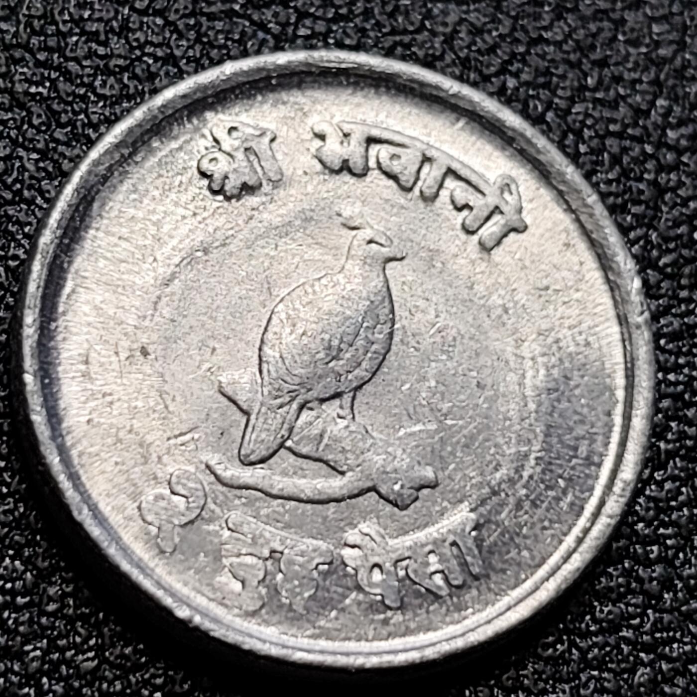 泉币菌-第105场-精品福利场 蓝孔雀 尼泊尔2派沙硬币 70年代 直径20MM 铝币 