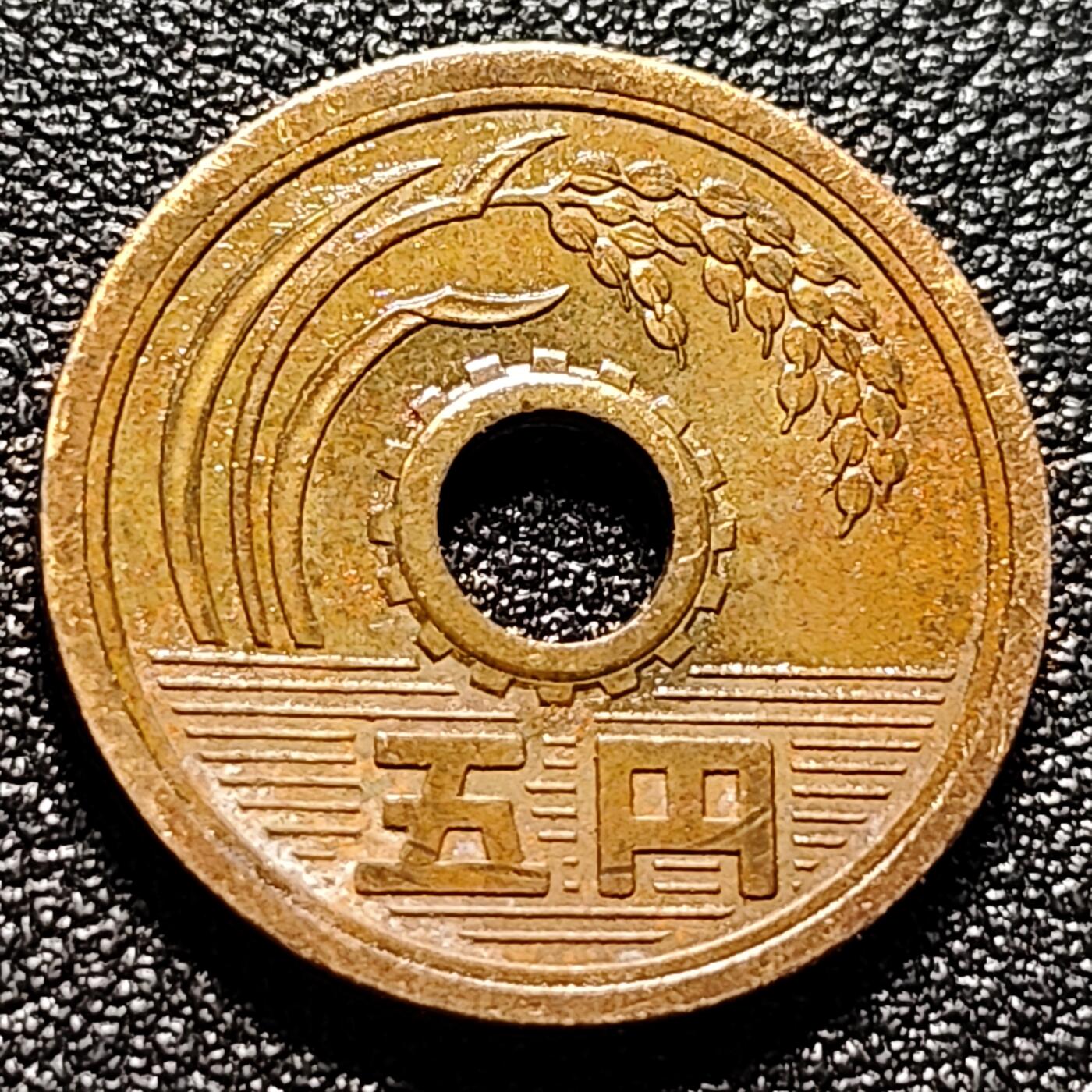 泉币菌-第102场-散币乐园场