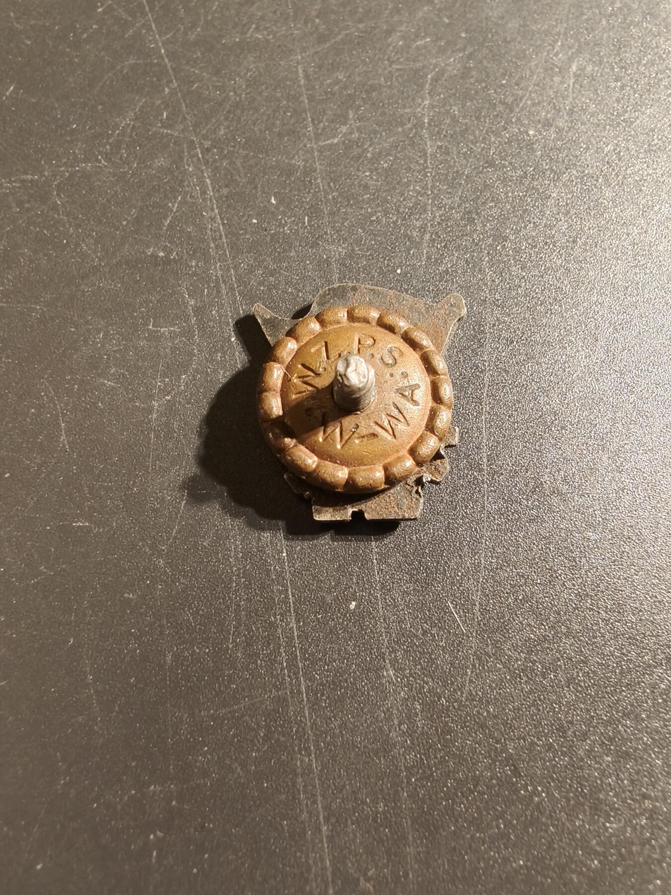 老王徽章第145期