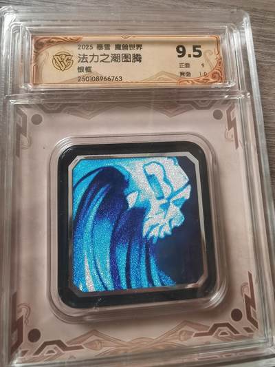 阳大大卡牌拍卖第70期（持续收拍品，周五晚上九点截拍，进群福利早知道） - 【9.5分】暴雪 魔兽世界 法力之潮图腾 银框