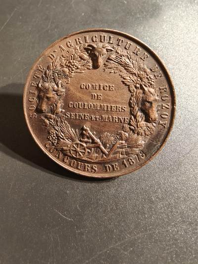 老王徽章第145期 - 法国单面镀金大银章    直径40mm   重量29g    950银镀金