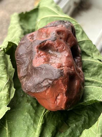 零元拍：南红玛瑙手把石。约65克，开口满肉，红色便暗，纯天然，独一无二的（天然原石不可避免有瑕疵，裂纹，介意勿拍）因为拍照环境以及光线的变化，颜色以实物为准。成品很美丽，原石亦魅力无穷。 - 零元拍：南红玛瑙手把石。约65克，开口满肉，红色便暗，纯天然，独一无二的（天然原石不可避免有瑕疵，裂纹，介意勿拍）因为拍照环境以及光线的变化，颜色以实物为准。成品很美丽，原石亦魅力无穷。