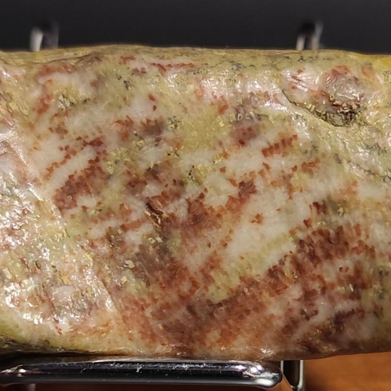 希腊罗马丝路打制币化石【中外钱币放漏】专场！陆小鱼的钱币仓，限时拍卖第076场 天然彩色化石手把件 全玉化的抛光珊瑚玉化石 多彩纹路 非常细腻 4.5亿年前奥陶纪时期164g