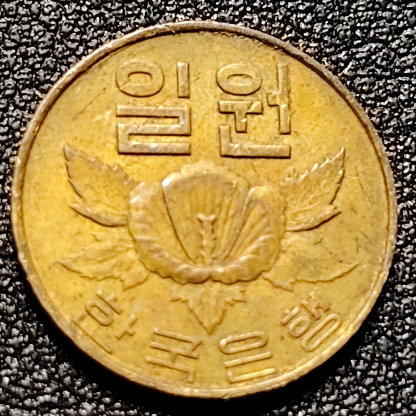 泉币菌-第105场-精品福利场