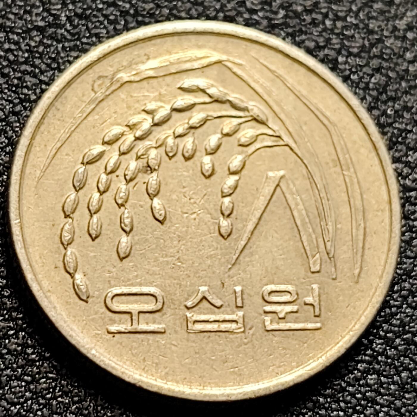 泉币菌-第106场-散币乐园场