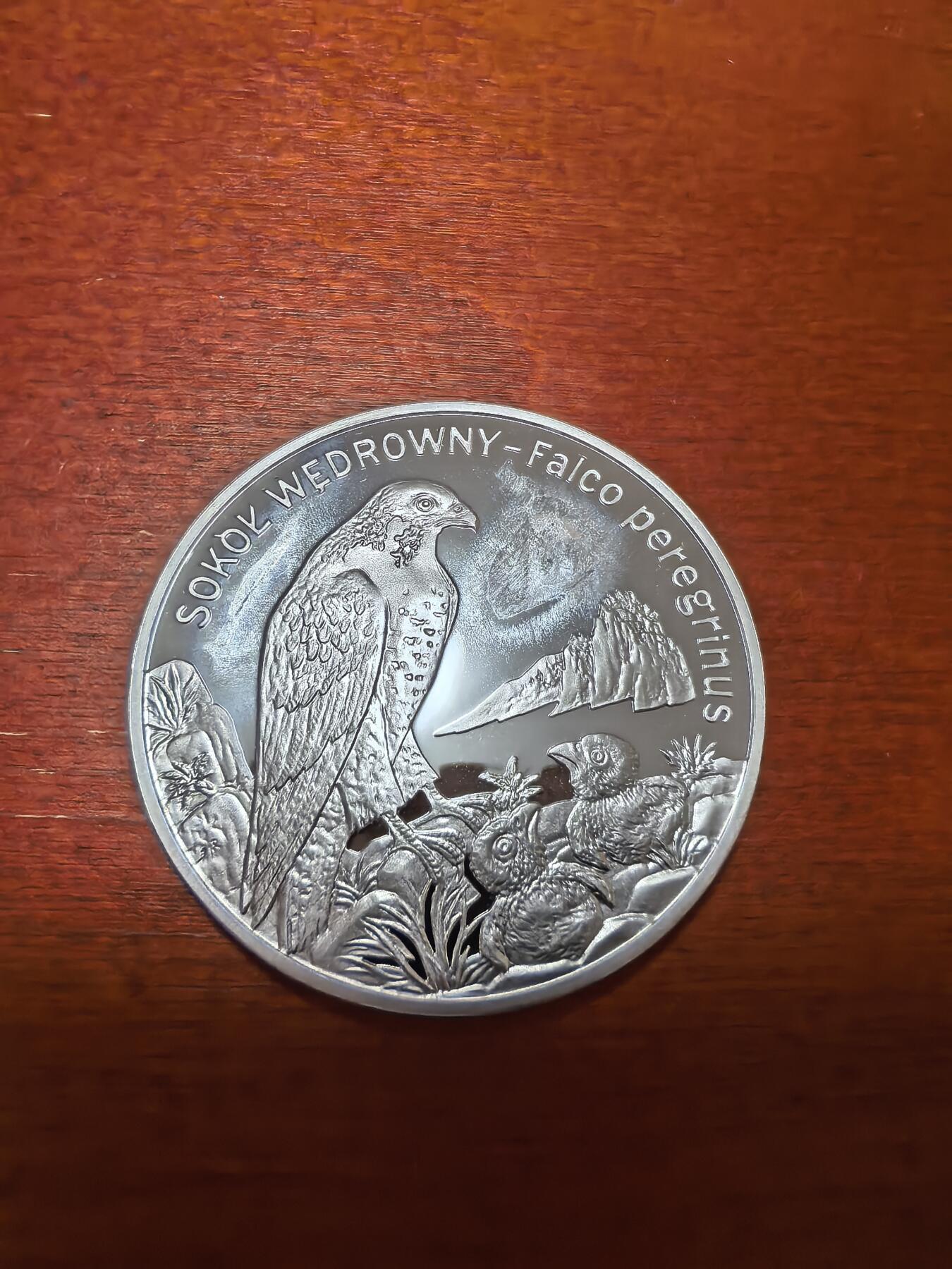 长老汇蛇年精选第四十一场拍卖 2008波兰游隼20兹罗提精制银币，28.28克925银