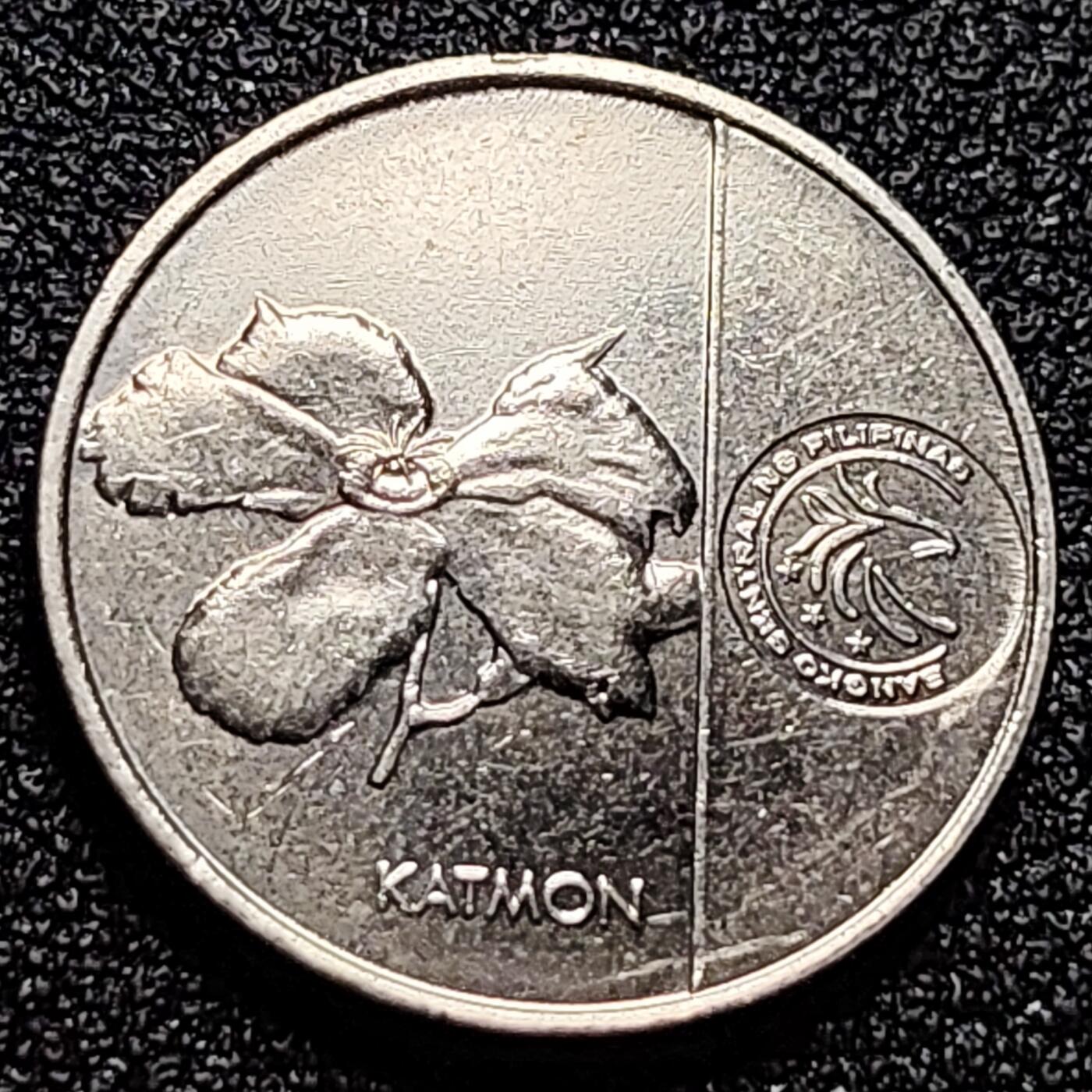 泉币菌-第101场-精品福利场