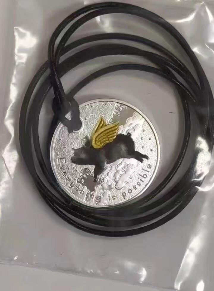 第172期拍卖【长期征集拍品】 【励志银币】喀麦隆2019年，“Everything is possible”一切皆有可能-猪都能飞上天!  挂孔项链吊坠、彩色精制银币. 盒证全. 原装袋式盒. 火热励志精制银币. 国外售价120美元