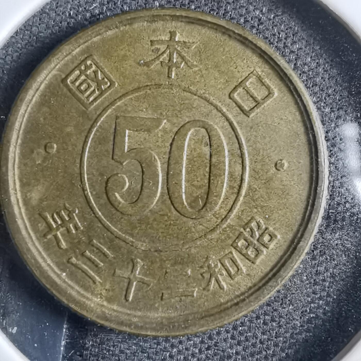 沼泽如烟--第822场