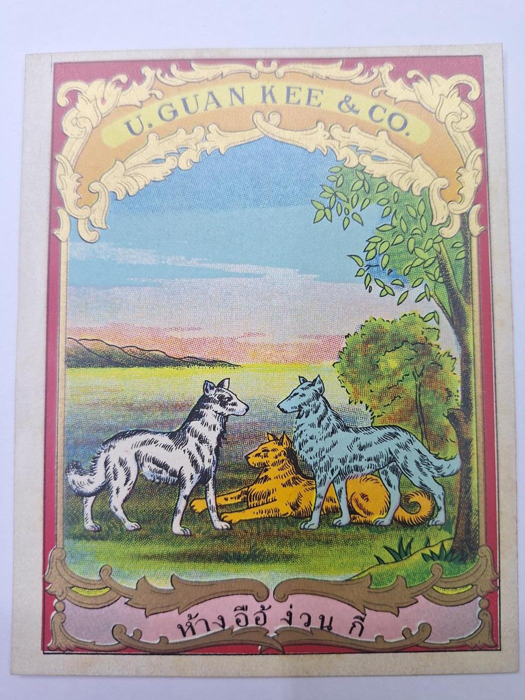 狮子猫股票债券纸品第二期