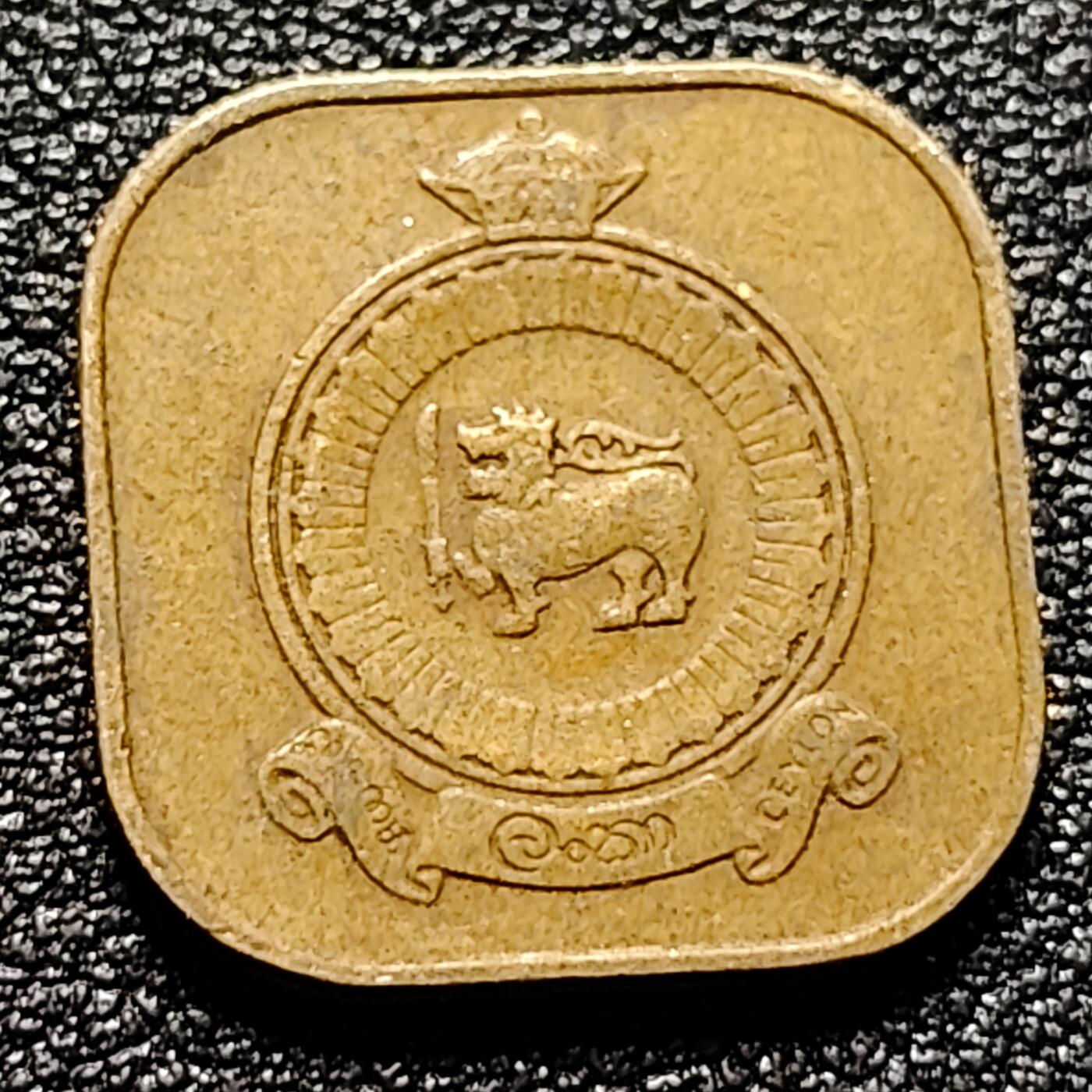 泉币菌-第101场-精品福利场