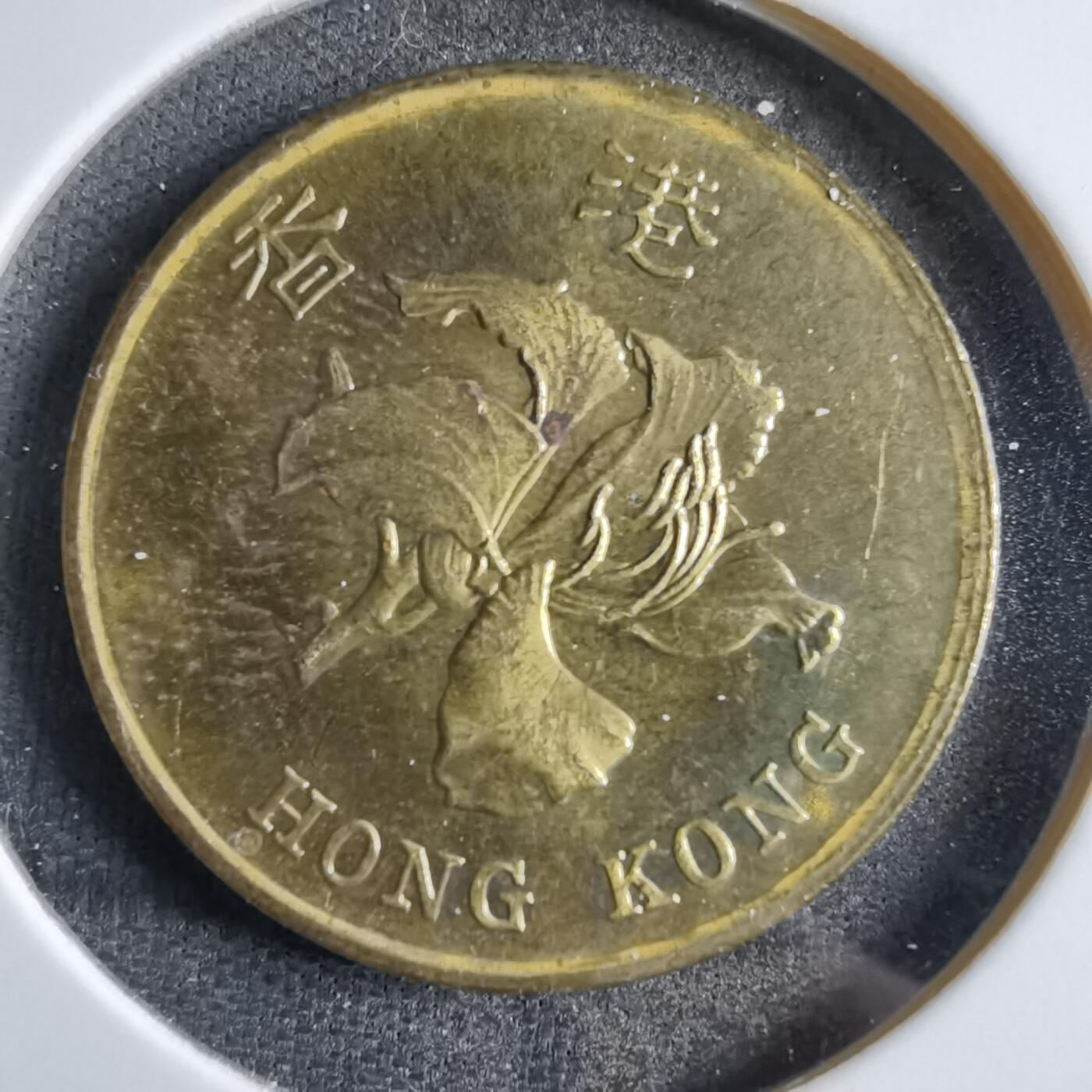 沼泽如烟--第822场