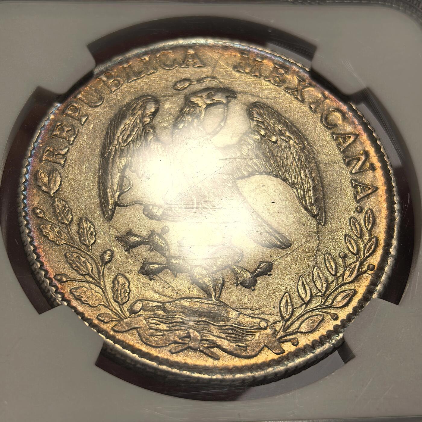 博洋堂世界钱币拍卖第136期（全场包邮） NGC MS62 1884年墨西哥鹰洋，中期年份，数量不多，包浆光度都一流