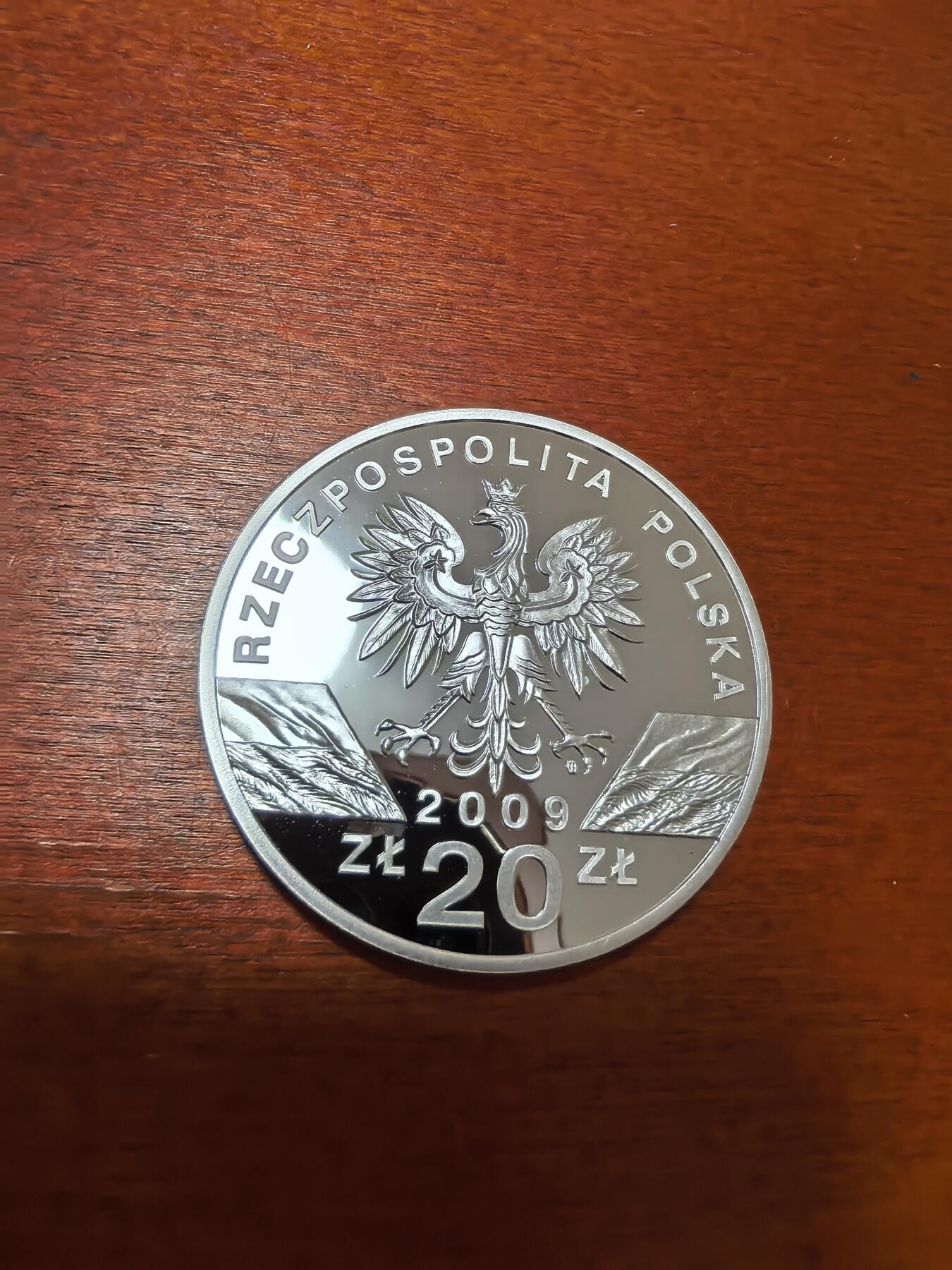 长老汇蛇年精选第四十一场拍卖 2009波兰欧洲绿蜥20兹罗提精制银币，28.28克925银（1）