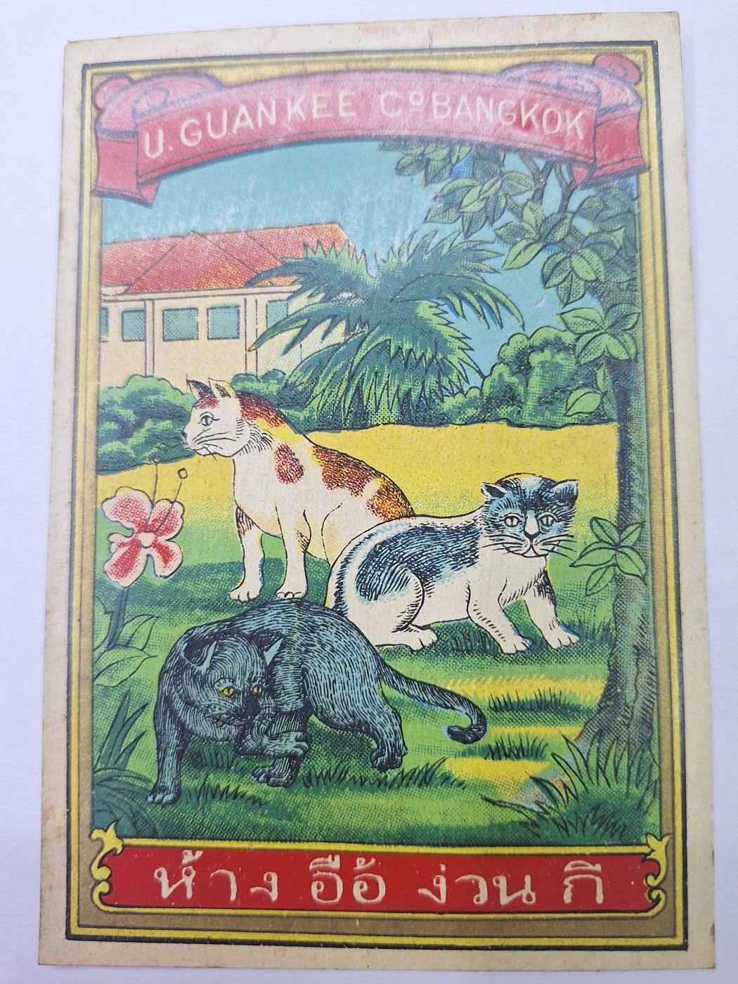 狮子猫股票债券纸品第二期