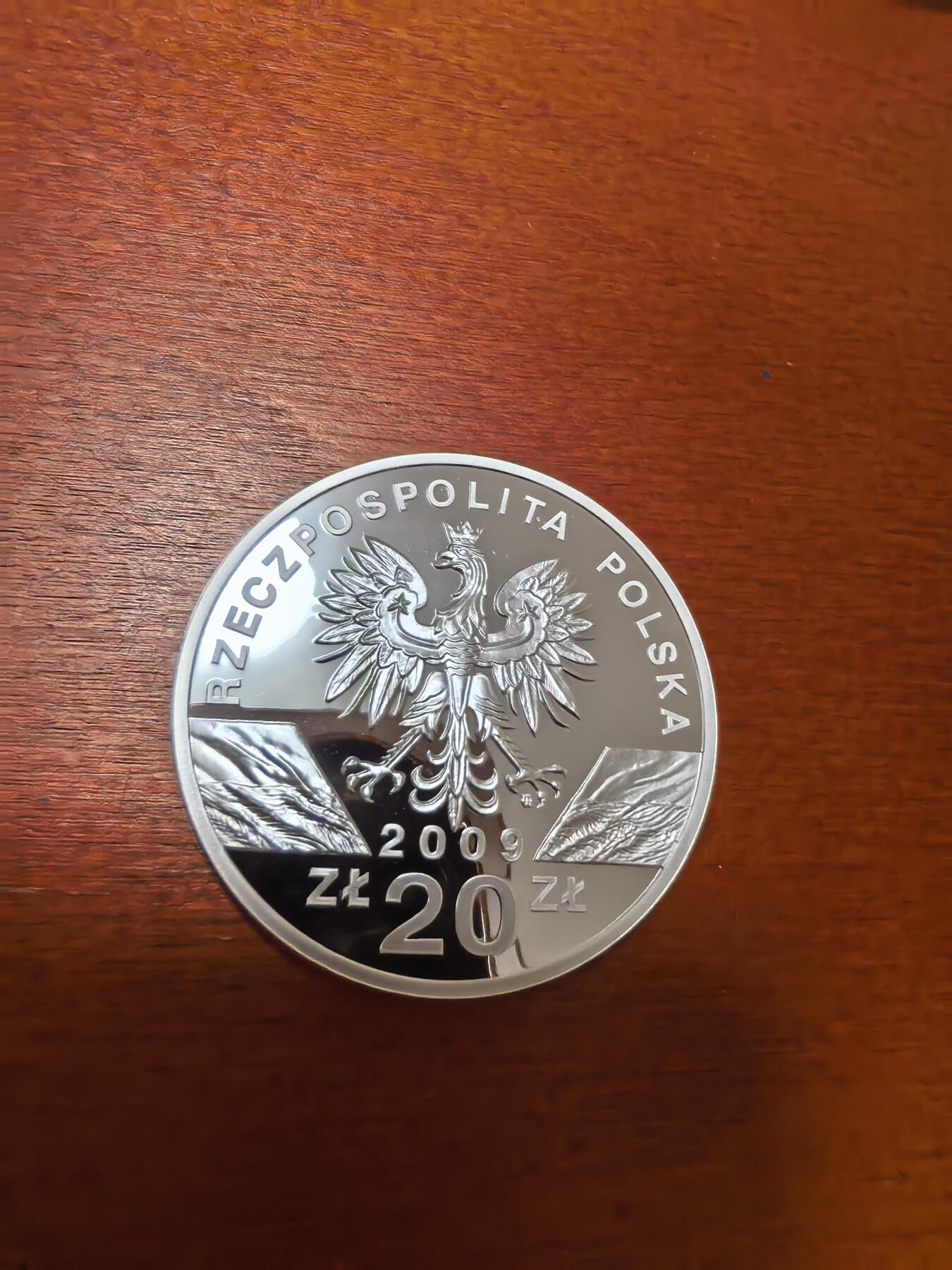 长老汇蛇年精选第四十一场拍卖 2009波兰欧洲绿蜥20兹罗提精制银币，28.28克925银（2）
