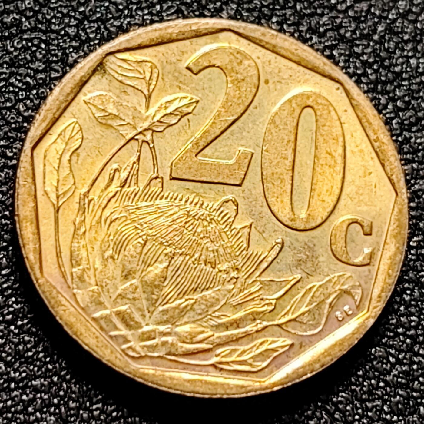 泉币菌-第102场-散币乐园场 帝王花 花中之王-普蒂亚花 南非20分硬幣 19mm