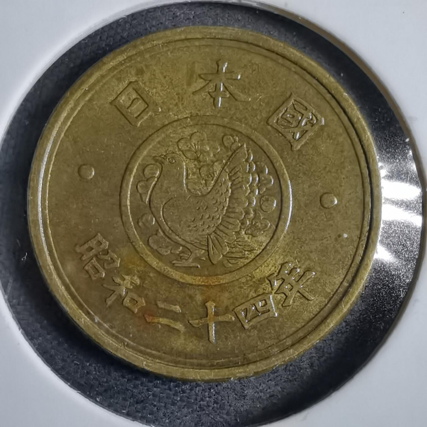 沼泽如烟--第822场