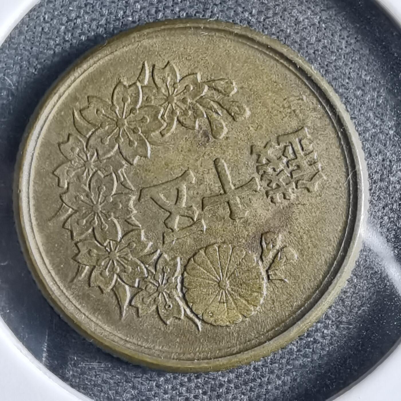 沼泽如烟--第822场