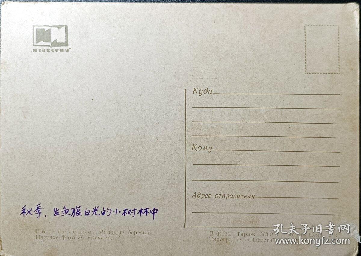 ↓君缘收藏580期☞钱币邮品↓无佣金、可寄存、满30元包邮  苏联明信片，1962年秋季在发鱼腹白光的小树林中