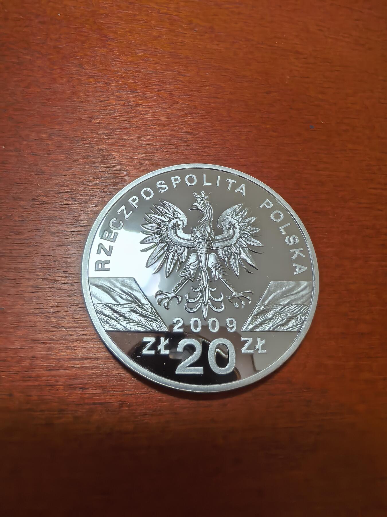 长老汇蛇年精选第四十一场拍卖 2009波兰欧洲绿蜥20兹罗提精制银币，28.28克925银（3）