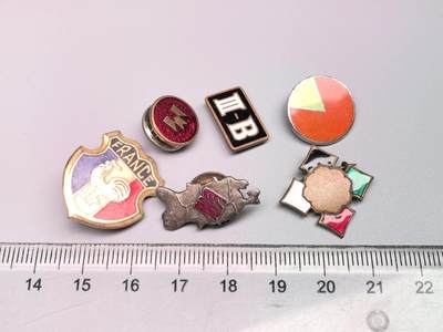 小驴勋章奖章收藏8月30日星期六晚18点拍卖（有偿代拍，送拍规则在简介最后，参拍须阅读规则后再参拍，关系到运费包装发货时效真假辨别等关键信息，店主微信码在最后一拍品） - 珐琅小徽章一组6枚