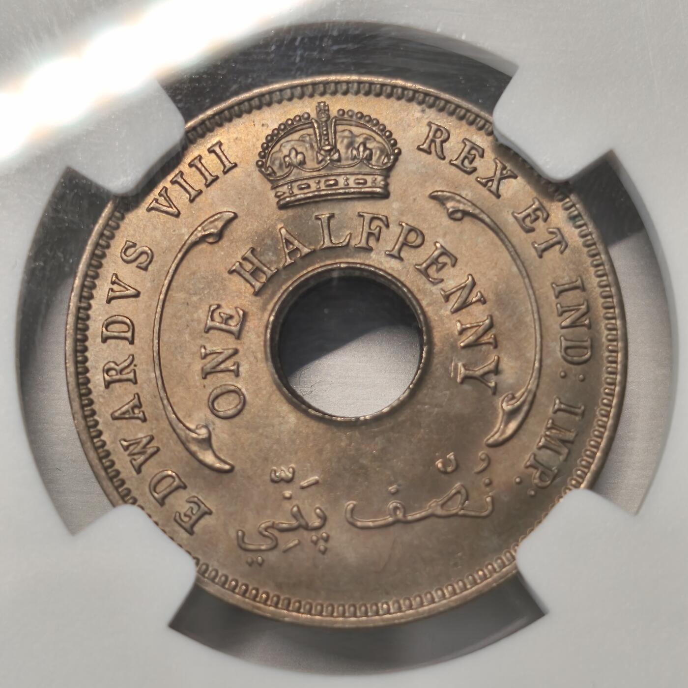 老蟹的宝藏🏴‍☠️ I 英属西非爱德华八世1936年1/2便士