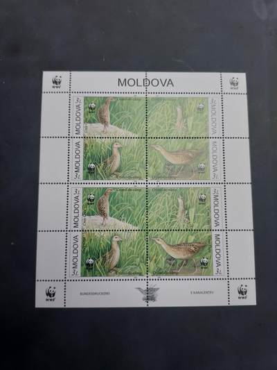 理想集藏/博彦收藏 9月4日邮票专场 - Moldova WWF 型张一枚 全新