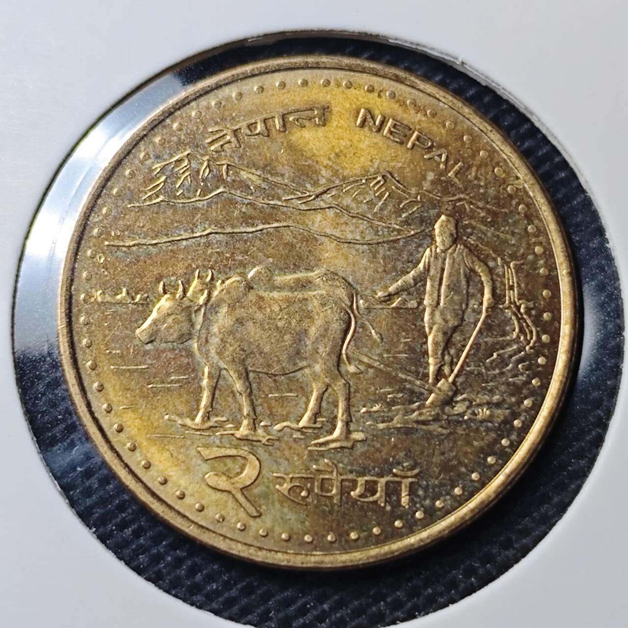 KK钱币收藏小铺 第330期 2月预留时间 周末发货