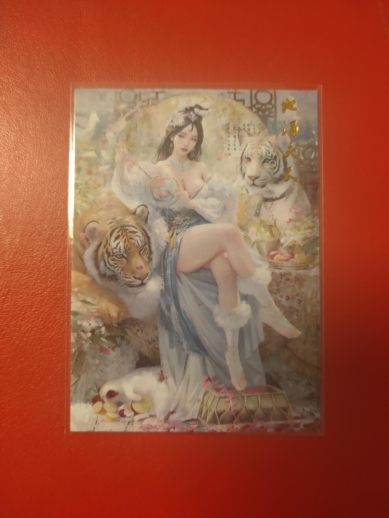 清风卡拍第九期(燎原卡牌为主)
