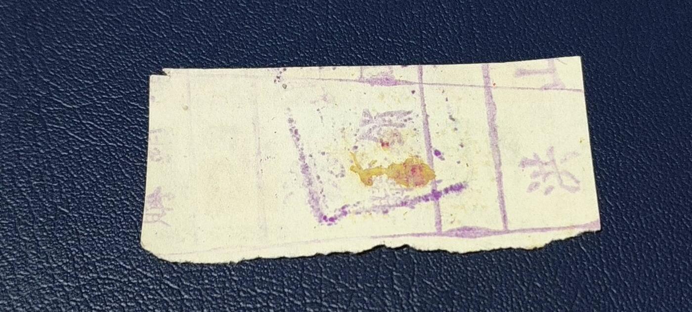 精品票证拍场 🔥为人民服务🔥武汉肉食票，1970年发行