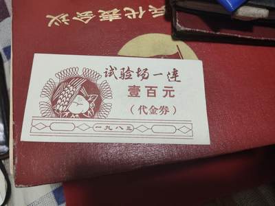 新时代收藏徽章红藏拍卖(第二十五场)  徽章纸品证书杂项 - 80年代核试验马兰基地试验场1连供销社代金券 80年代的一百元 可想而知待遇之好 少见