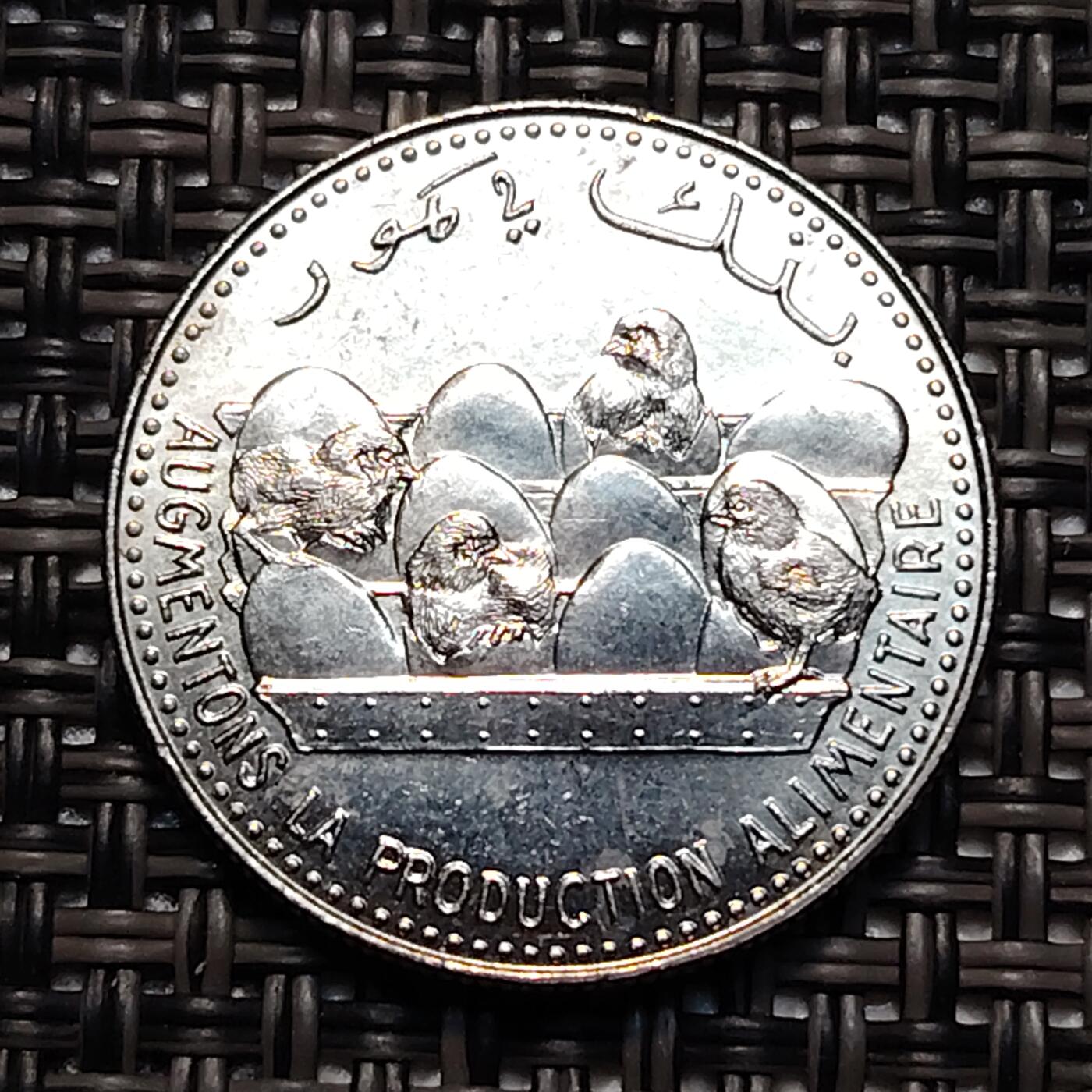 布加迪🐬～世界钱币(上海)🌾第 238 期 /  各国套币和散币 科摩罗🇰🇲 1982年 25法朗镍币 小鸡孵化 20mm