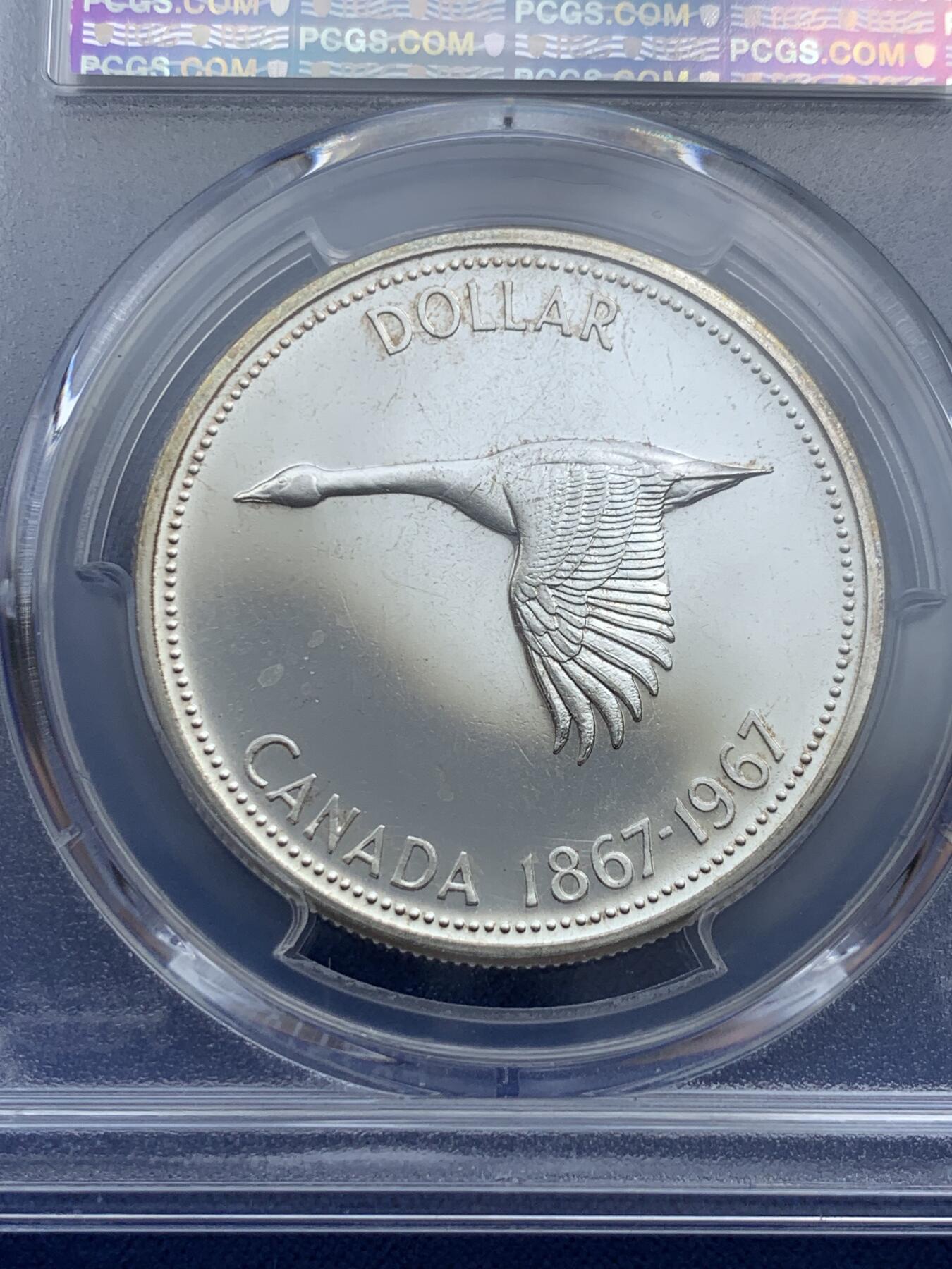 《竞宝斋》第414场 周日，周一，2场连拍 （全场包邮） PCGS PL65 加拿大大雁1元精制纪念币，经典动物银币 币面干净漂亮！热门品种！