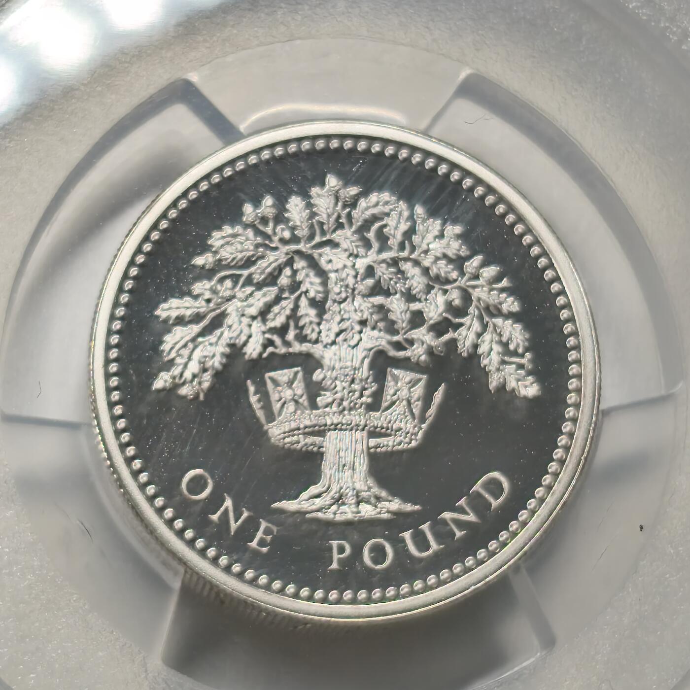 老蟹的宝藏🏴‍☠️ I 英国1987年加厚1英镑银币-亚军分