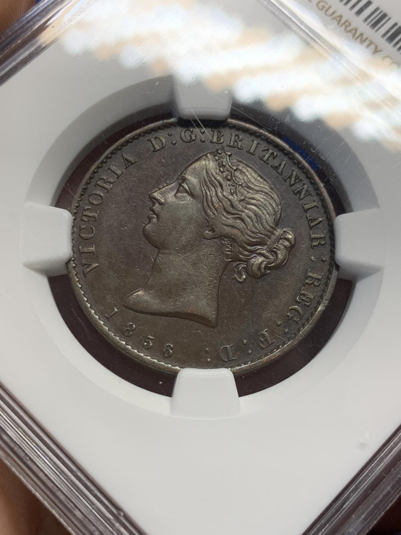 《竞宝斋》第414场 周日，周一，2场连拍 （全场包邮） NGC AU55BN 加拿大1856年小维五月花1/2便士铜币，少见品种，好状态，花枝细节精美。五月花是北美代表型花卉，著名的“五月花号”即以此命名。