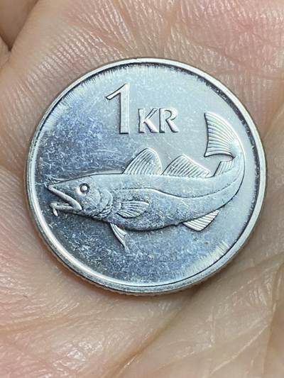 2025年第八十四场(总第一百一十场）外国好品散币(免佣金) - 冰岛🇮🇸2003年1克朗(镀镍钢材质有磁版)