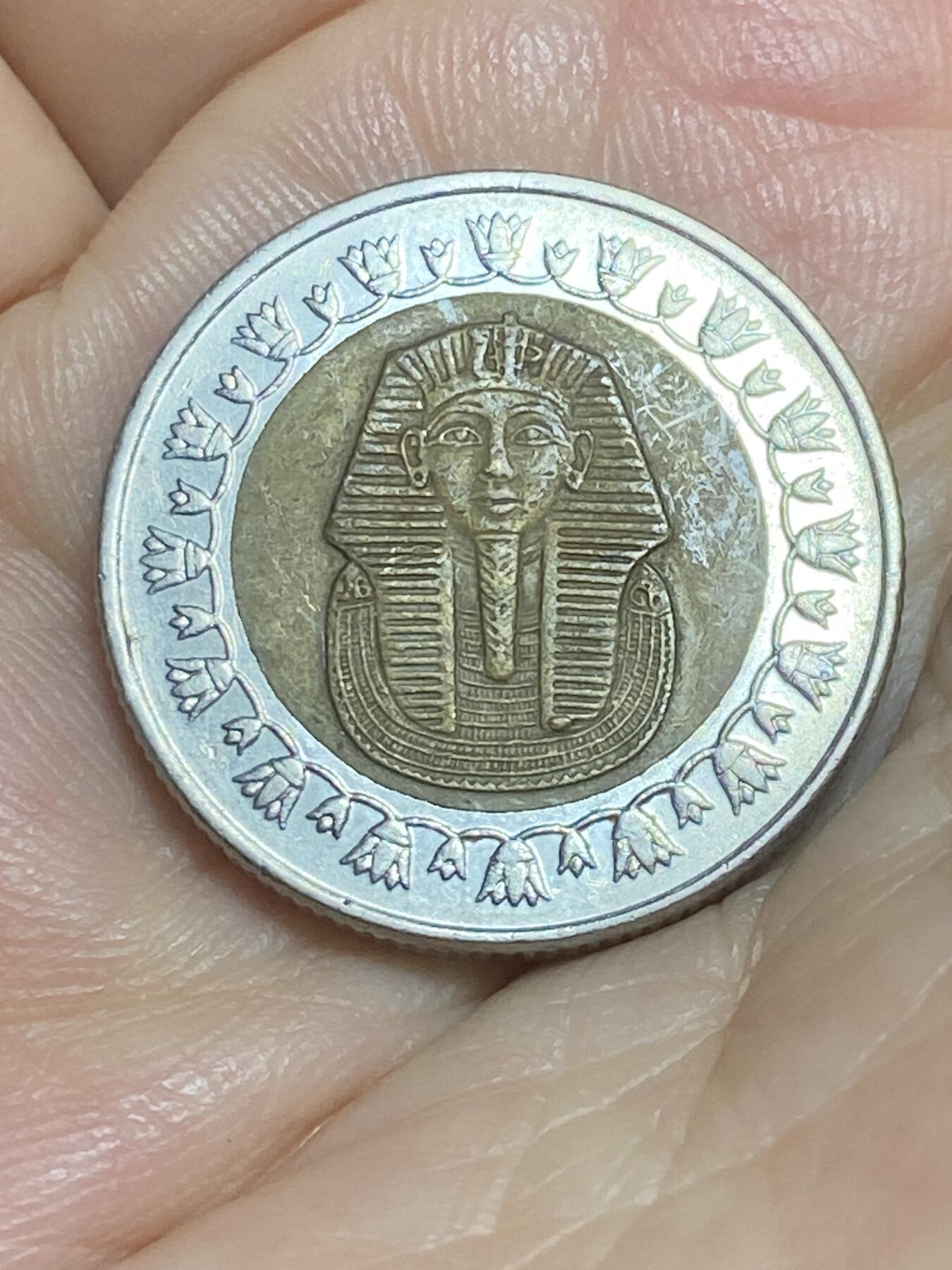 2025年第八十四场(总第一百一十场）外国好品散币(免佣金) 埃及🇪🇬2008年1镑(第二版有磁版)