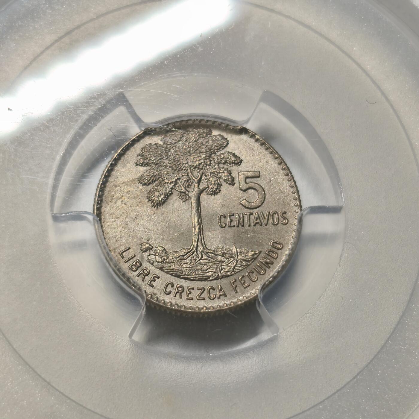 老蟹的宝藏🏴‍☠️ I 危地马拉1966年5分冠军分
