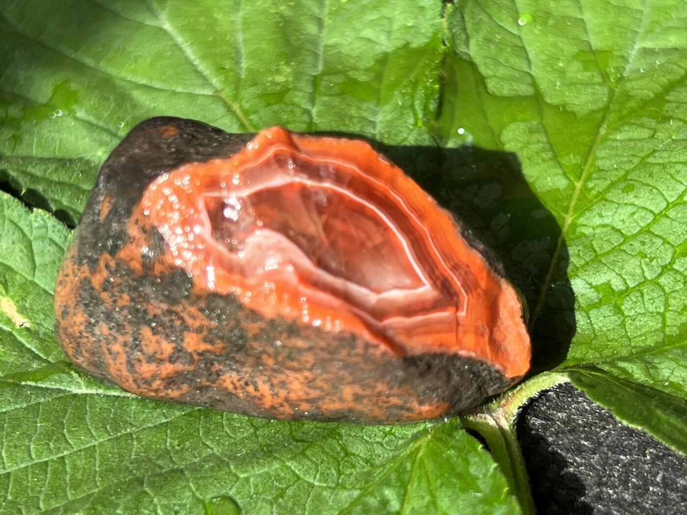 零元拍：南红玛瑙手把石，约28克，柿子红火焰纹缠丝，纯天然，独一无二的（天然原石不可避免有瑕疵，裂纹，介意勿拍）因为拍照环境以及光线的变化，颜色以实物为准。成品很美丽，原石亦魅力无穷。