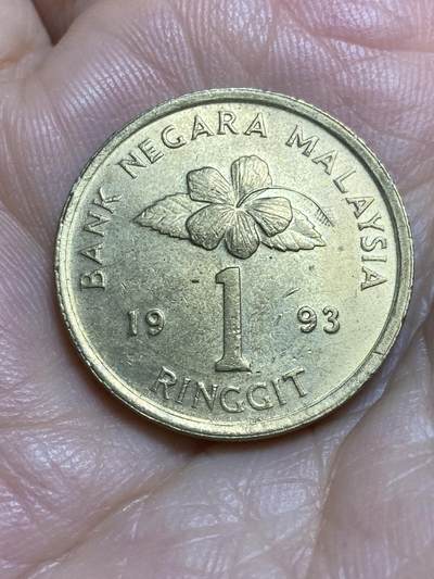 2025年第八十四场(总第一百一十场）外国好品散币(免佣金) - 马来西亚🇲🇾1993年1林吉特(无货币符号版)