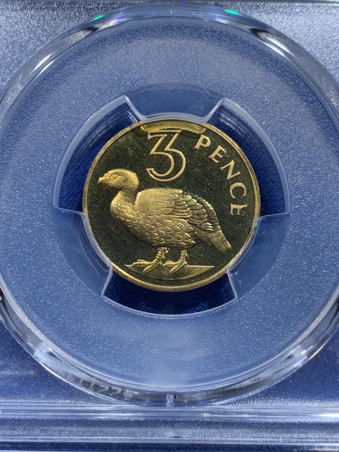 《竞宝斋》第415场 周日，周一，2场连拍 （全场包邮） PCGS PR67CAM 冈比亚1966年3便士非洲渡鸭精制币